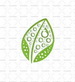 Tautropfen auf einem Blatt